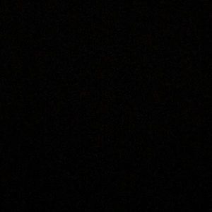 Meet your Posher, Eva